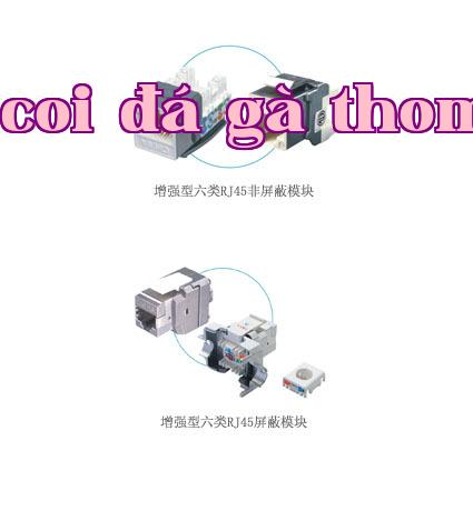 Module RJ45 loại 6