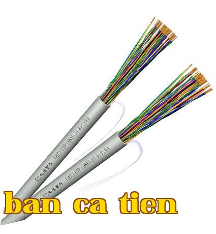 Cáp số lượng lớn loại ba không được che chắn cho truyền thông số trong nhà