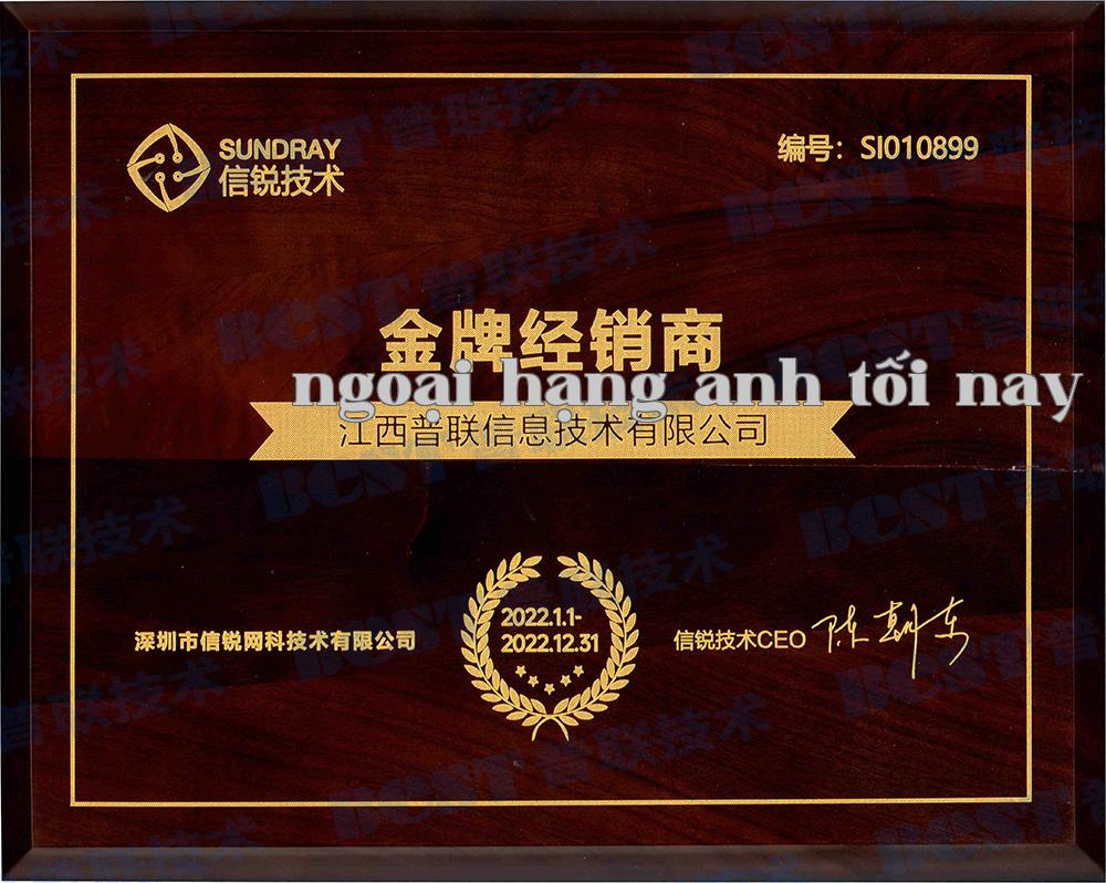 Bằng khen nhà phân phối vàng của Xinruyear năm 2022 Bằng khen nhà phân phối vàng của Xinruyear năm 2022