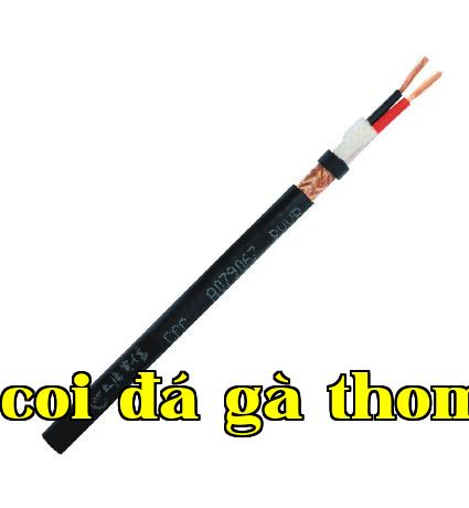 Dây điện series RVVP