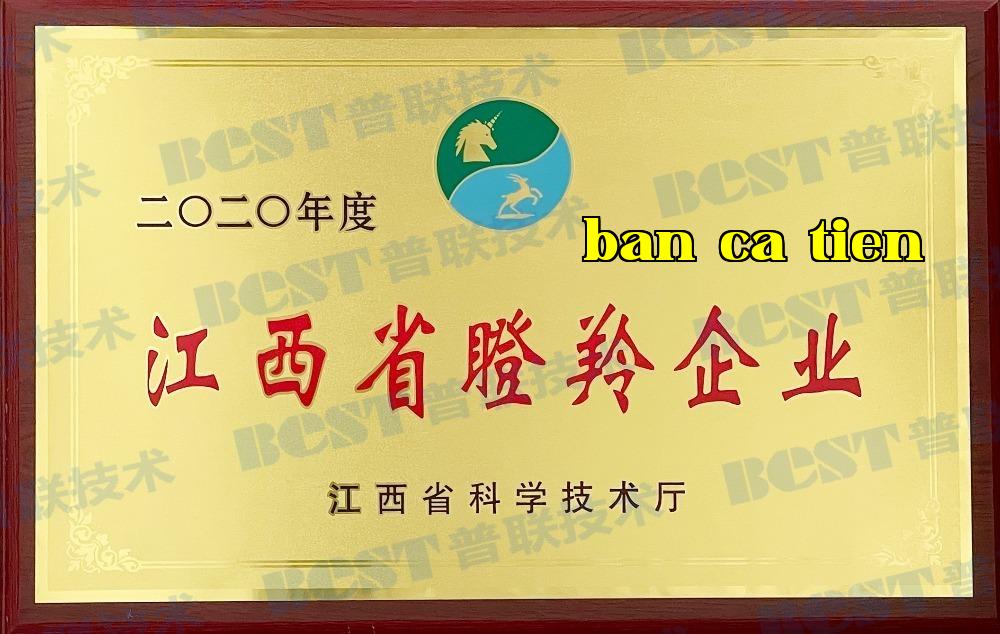 Doanh nghiệp Doanh nghiệp