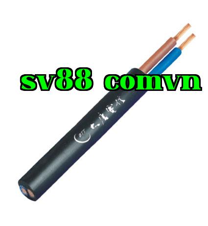 Dây điện series RVV