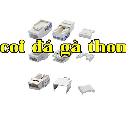 Module RJ45 loại siêu 5