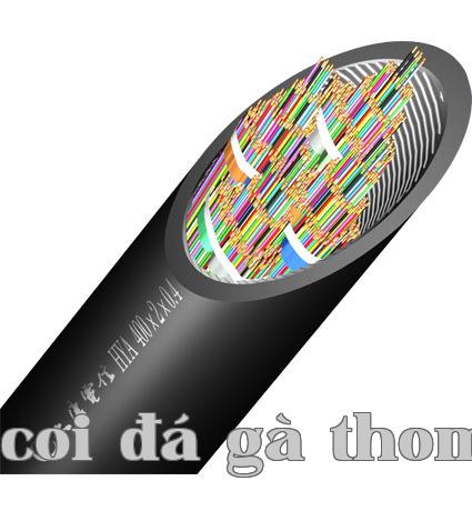Dây cáp thông tin kỹ thuật số loại Class 3 cho môi trường ngoài trời